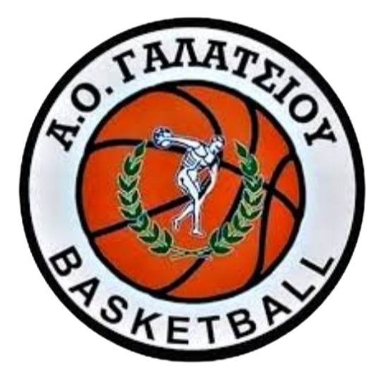 https://img.sxgoldsun.com/img/basketball/team/99aa3f28c95a20cc802a5f1a5af87719.png